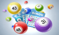 Bingo