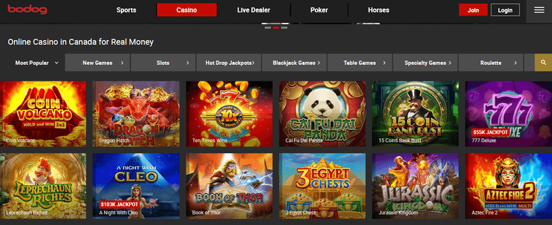 Bodog Casino games
