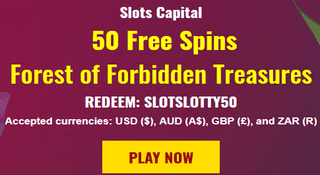 Slots Capital Casino free spins