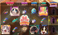 Cats Love Yummy Slot