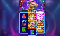 DJ Neko Slot Screenshot - Pragmatic Play