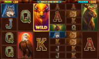 Grand Buffalo Slot
