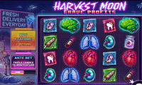 Harvest Moon - Grave Profits